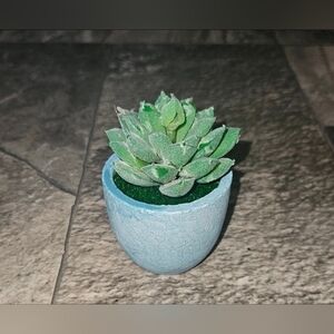 Artificial Succulent in Light Blue Ceramic Mini Planter - Home Accents BNIB